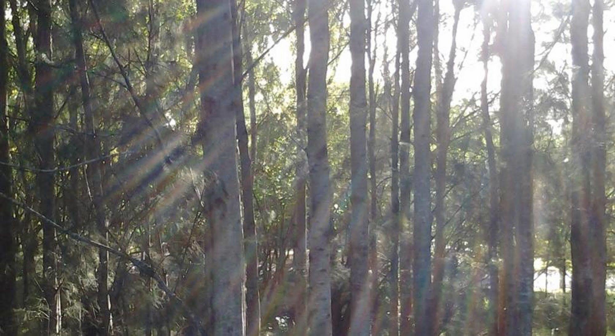 Briars Country Lodge Bowral Extérieur photo
